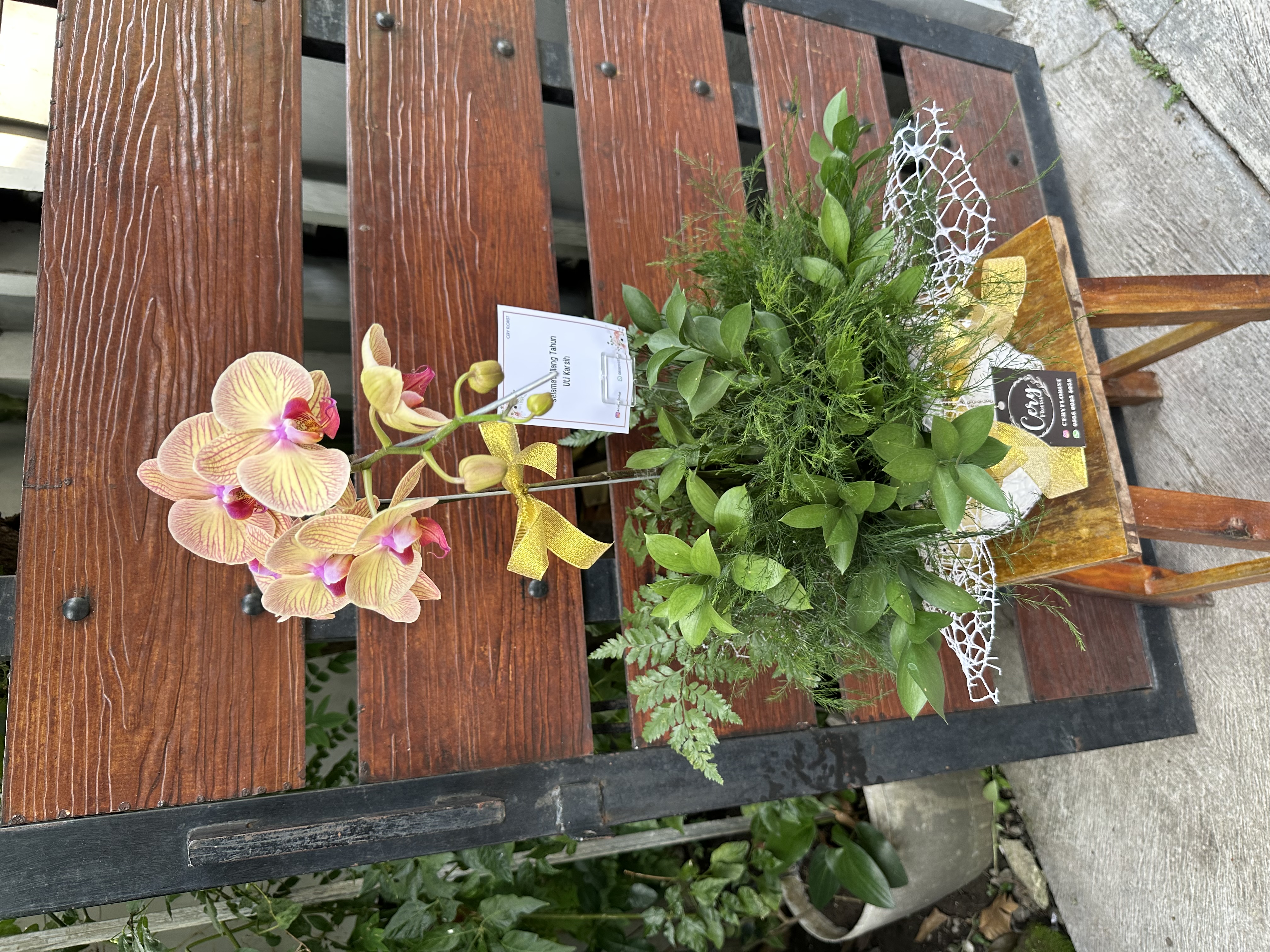 Bunga Anggrek dihias dedaunan 425k